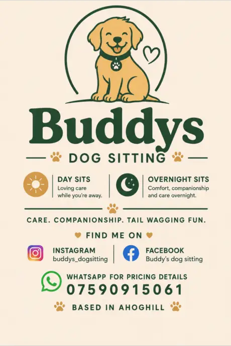 Buddys Dog Sitting